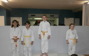 Coupe Amicale (FSGT)