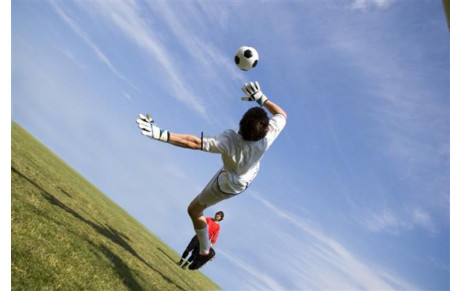 Baby poussins (2018-2020) 🐣